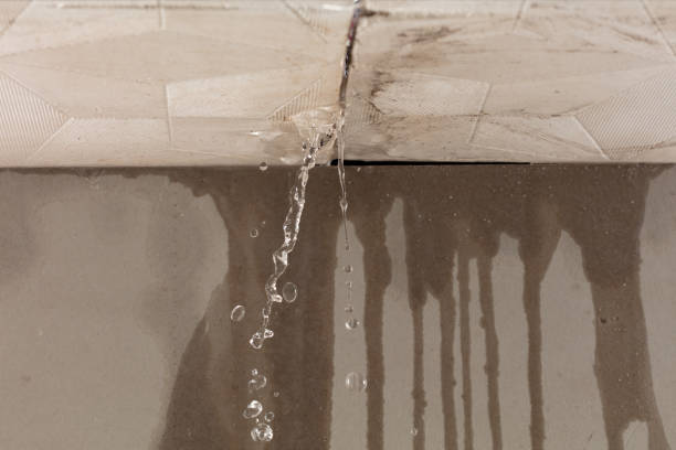 Professional Flood Damage Cleanup technician working in Jaroso, CO